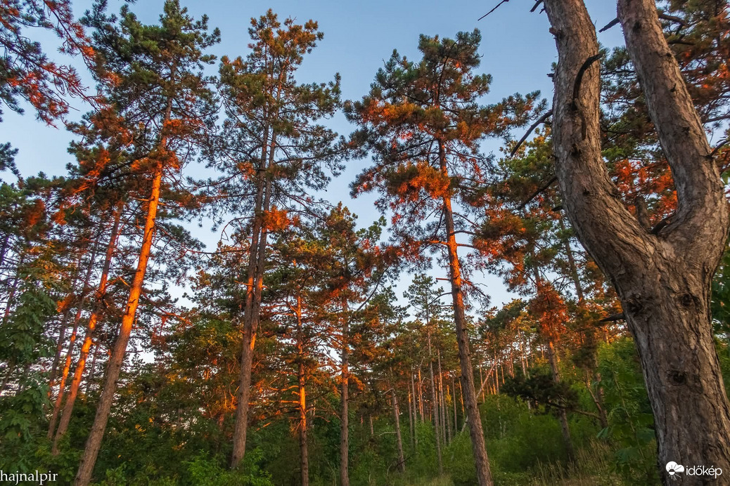 Pilisszentiván