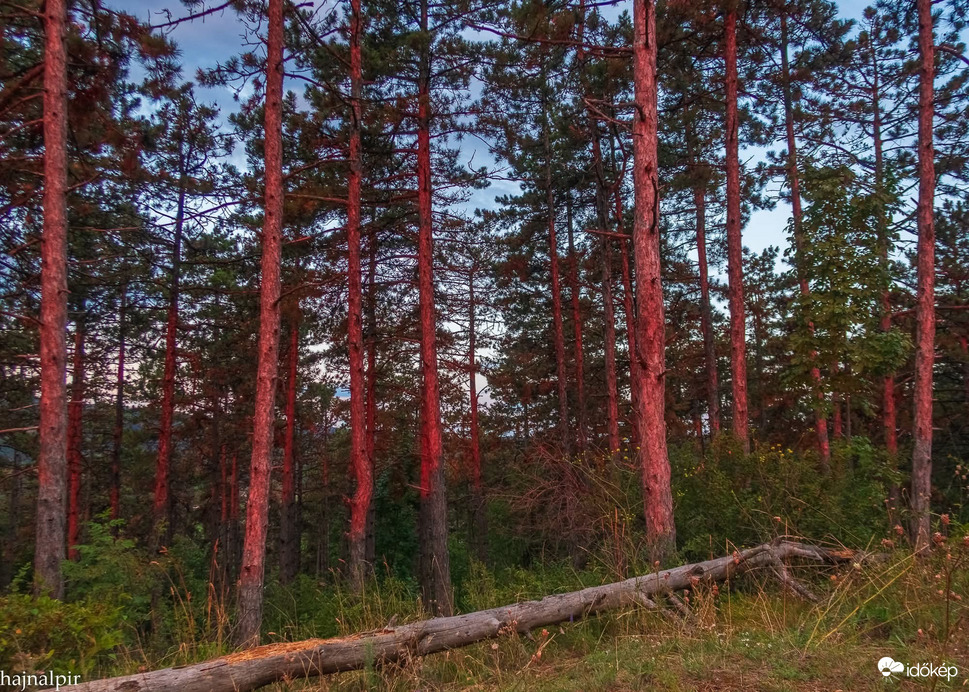 Pilisszentiván