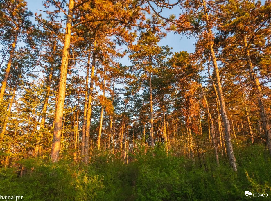 Pilisszentiván