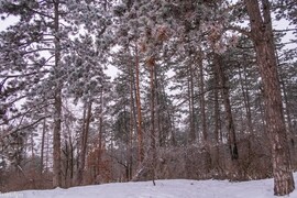 Budapest VI.ker - Terézváros