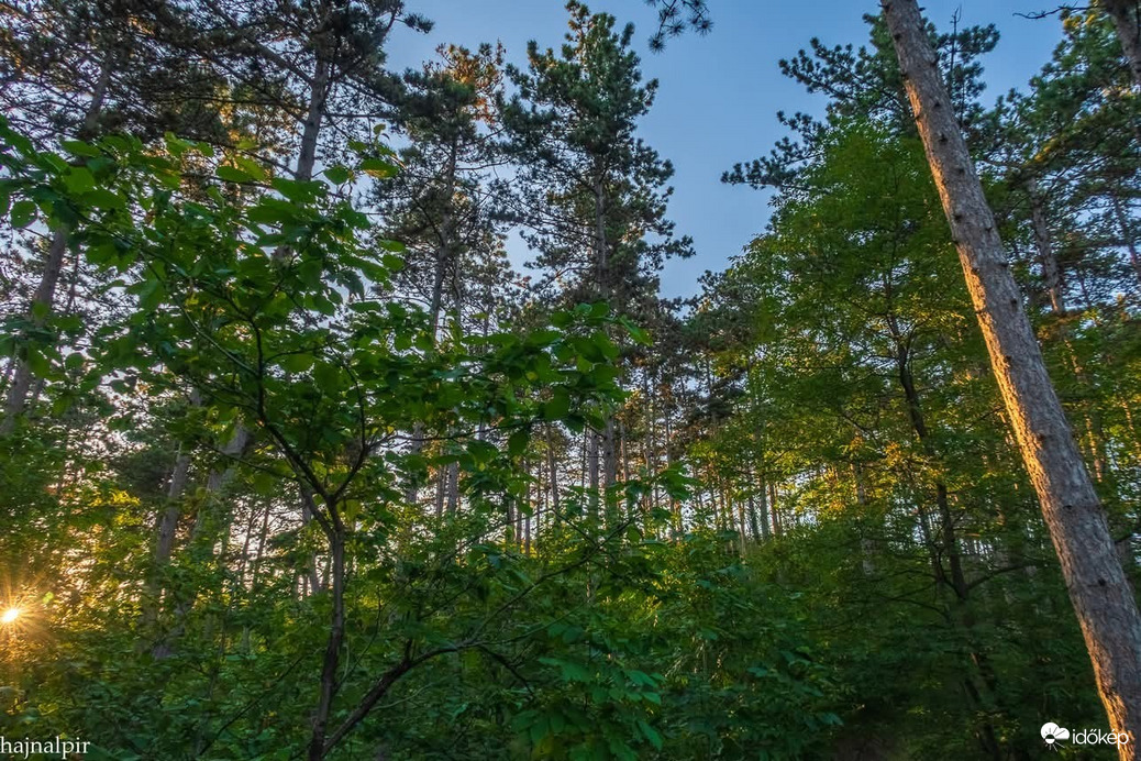Pilisszentiván