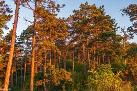 Pilisszentiván