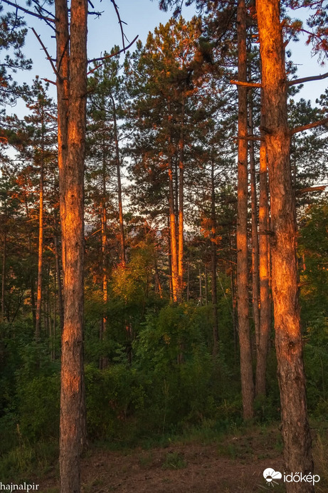 Pilisvörösvár