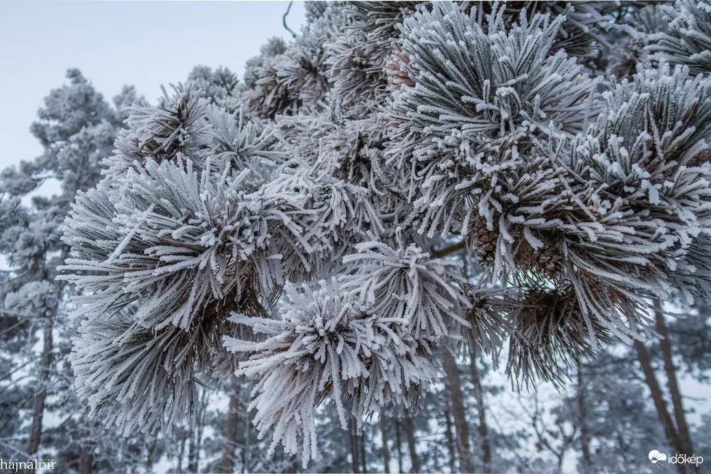 Budapest XIII.ker - Újlipótváros