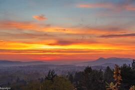 Budapest XV.ker - Pestújhely