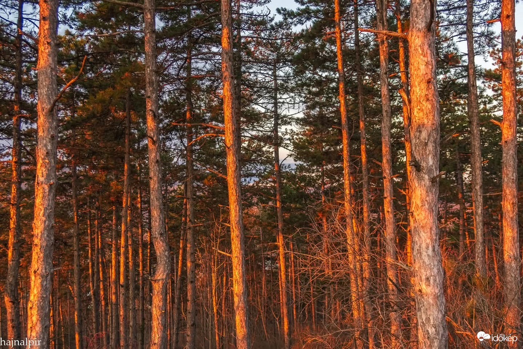 Pilisszentiván