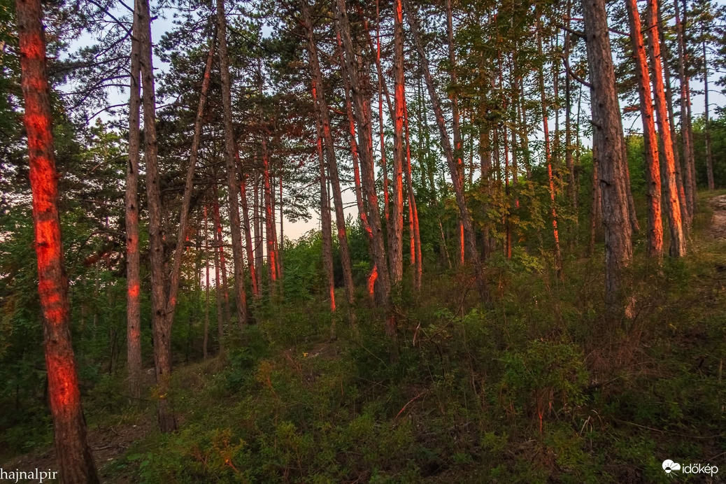Pilisszentiván