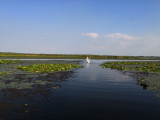 hajno fotója
