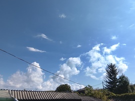 Tarnalelesz