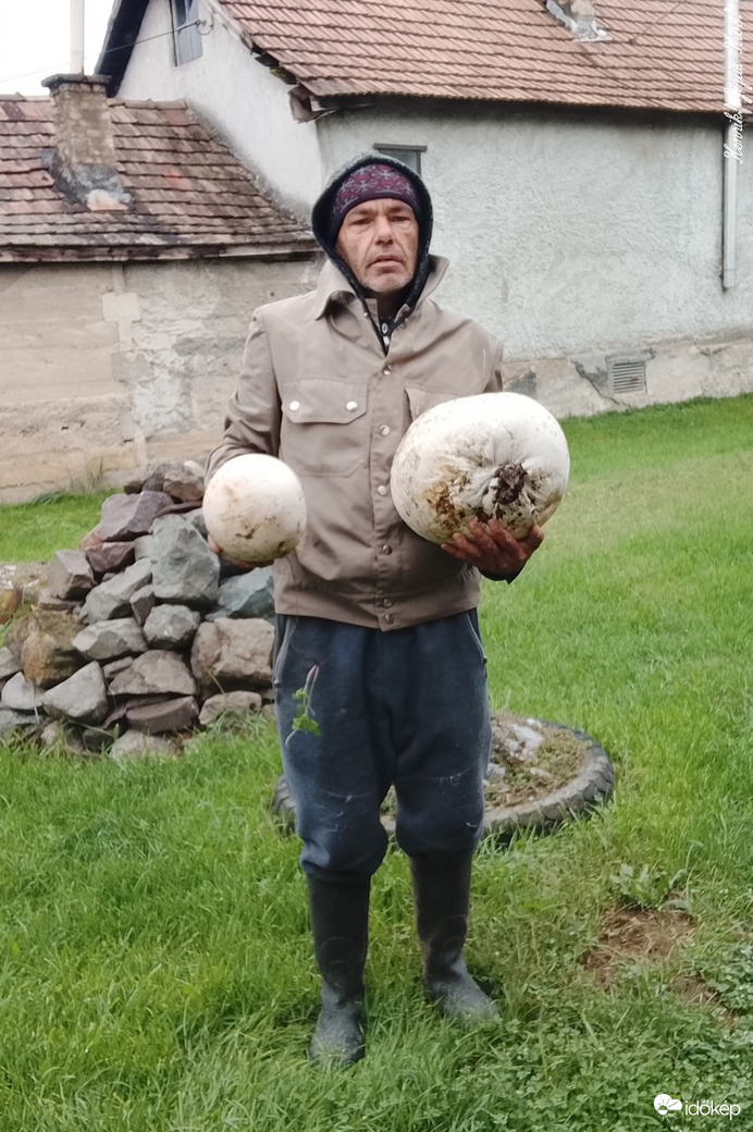 Èn ès a pöfik.