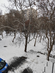 hankopeter13 fotója