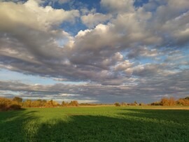 Gyomaendrőd