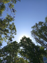 Martfű