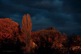 hannibal2000 fotója