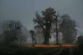 hannibal2000 fotója