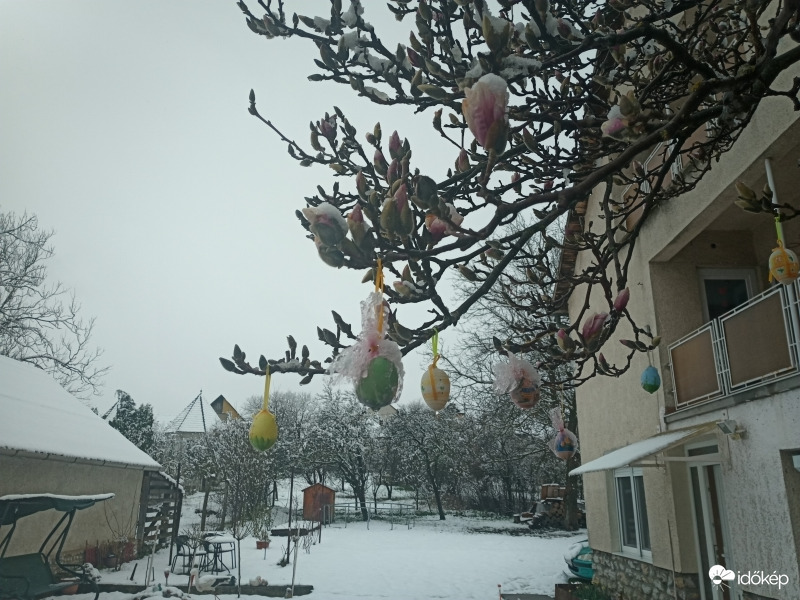 Húsvét