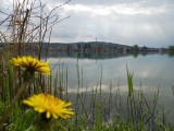 Dorog Palatinus tó