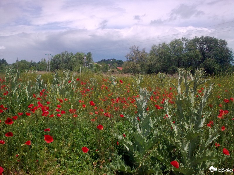 Balatonboglár