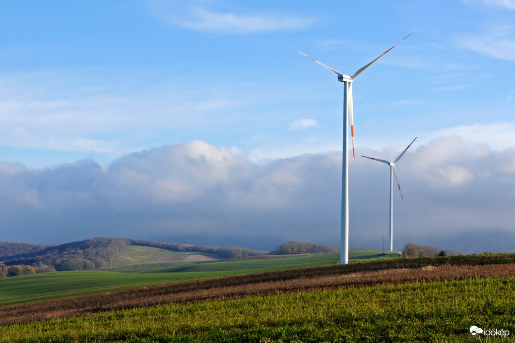 Ködhatár a Bakonyban