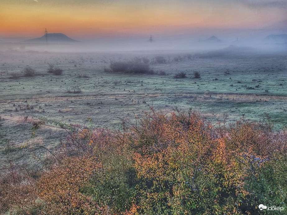 Fáznak a tanúhgyek...