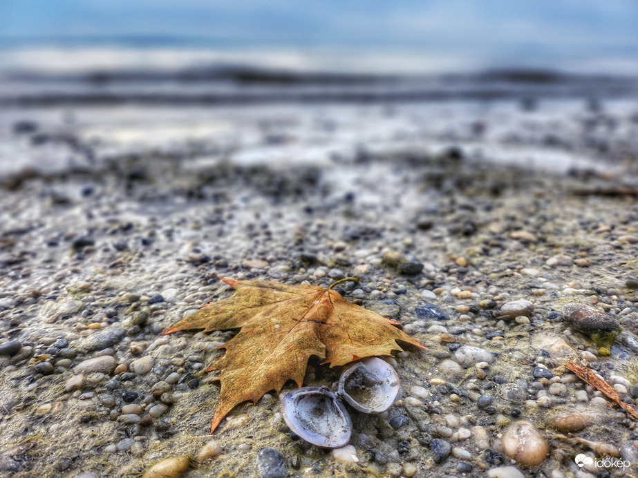 Csendélet a parton...