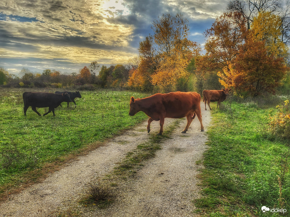 Tavasz az őszben...