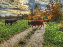 Tavasz az őszben...