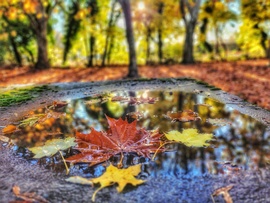 Tálcán kínálja magát az ősz...