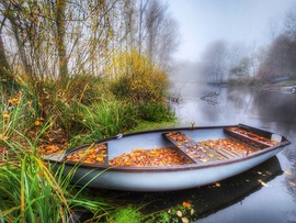 Simogató csendélet...
