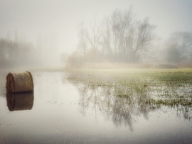 Köd és reflexió...
