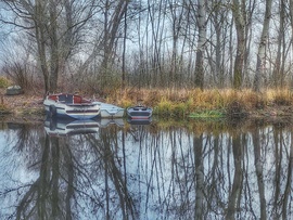 Januári nyugalom...