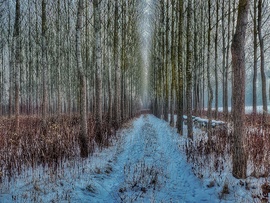 Reggeli sorakozó...