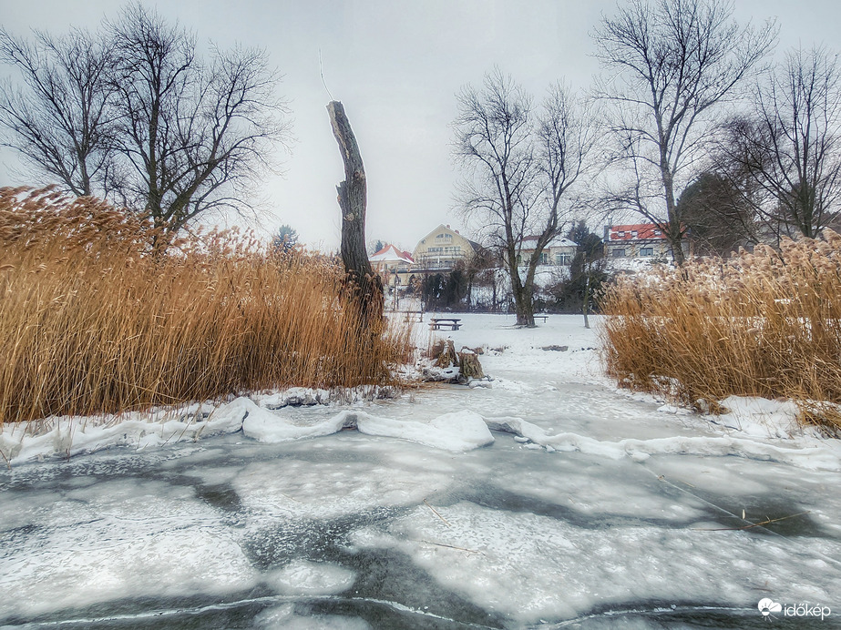 Téli varázslat a Soós-öbölben.