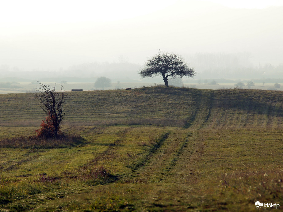 Lassan, de kitisztul...