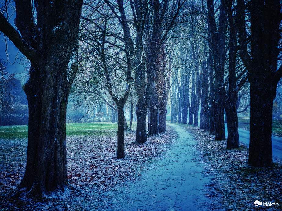 A ligetben (télen) is nagyszerű...