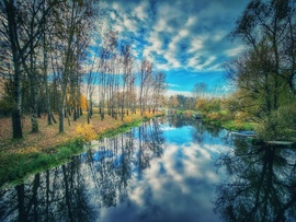Novemberi anzix