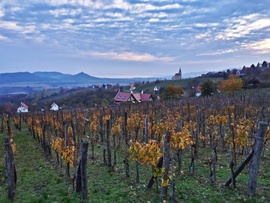 Káprázatos kilátás...