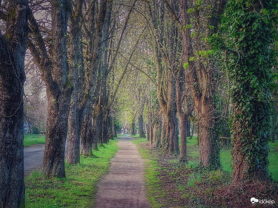 Áprilisi gesztenyés