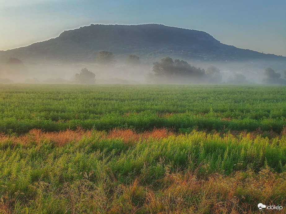 Párapaplanos reggelen...