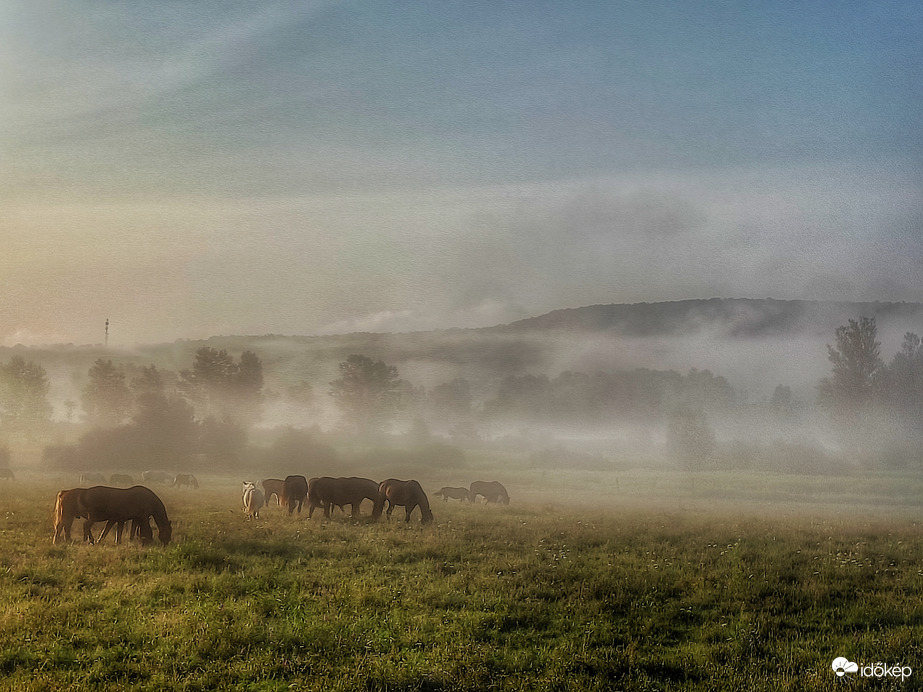 Ködpaplan a Káli-medencében