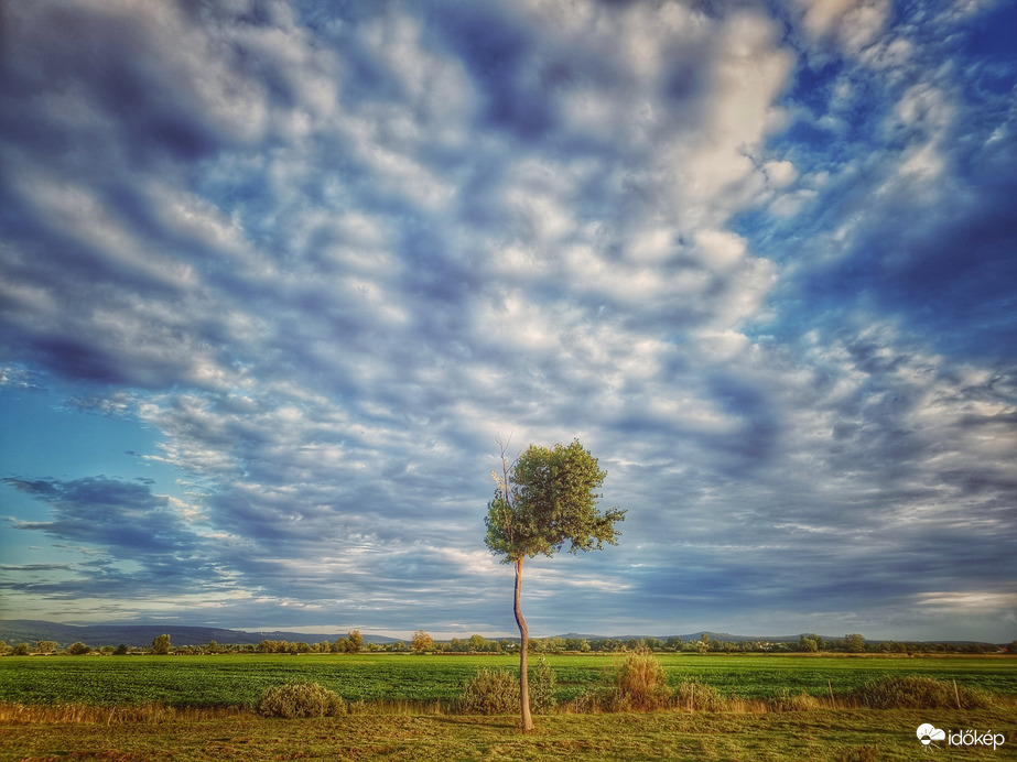 A magány szépsége