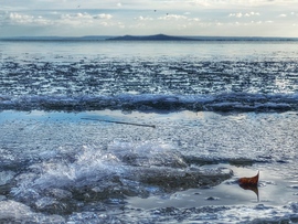 Az utolsó fagyos fotó (2025)