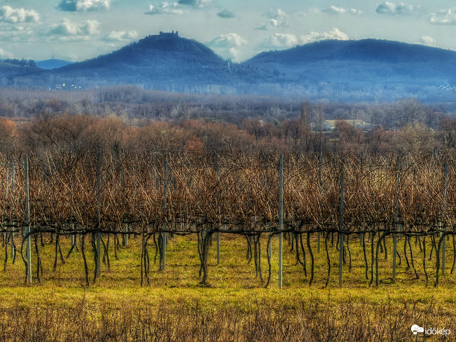 Csendélet a természetben...