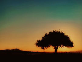 FAntasztikus reggel...