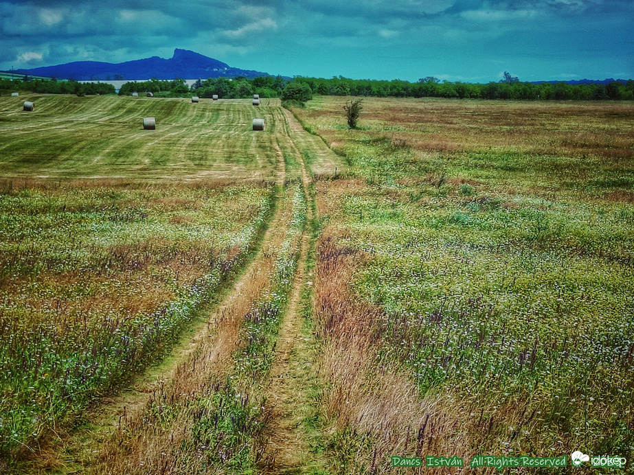 Csendélet a Káli-medencében