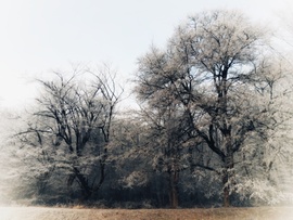 Köszönjük, Holle anyó!