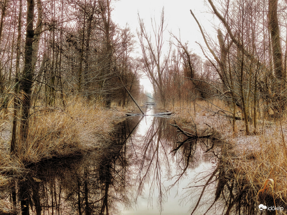 A tél bűvöletében