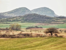 Virágzó vackorfa & tanúhegyek