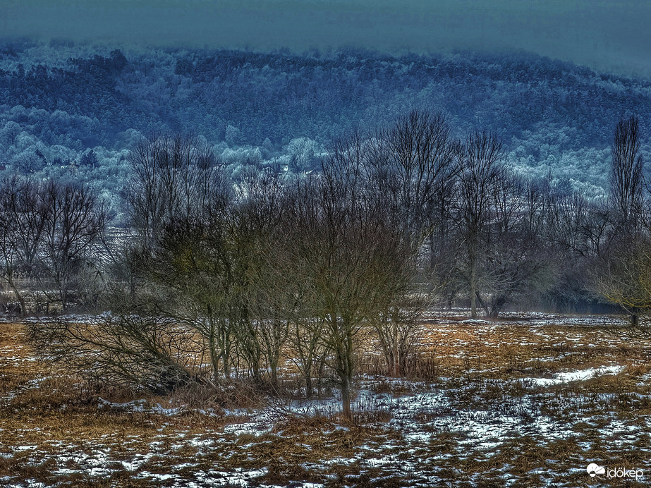Köd. Zúzmara. Fehér világ.