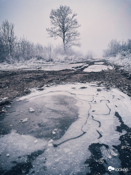 Illa berek, nádak, erek… 2.